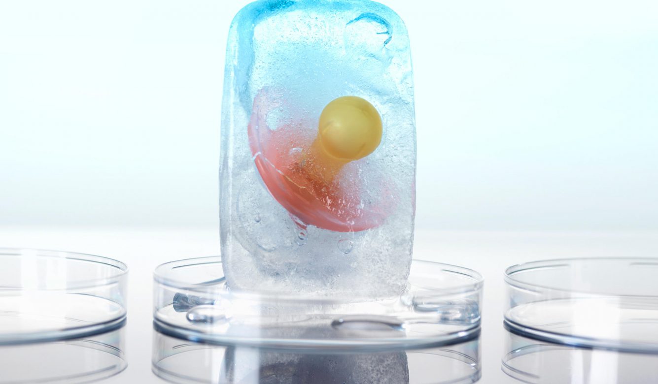 Freezing egg cells and embryos – what does it look like in practice