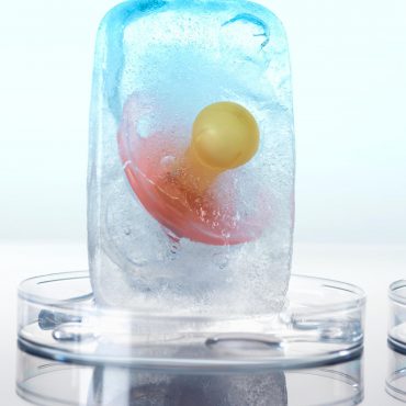 Freezing egg cells and embryos – what does it look like in practice